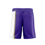 Mens Volleyball Shorts - REYES