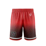 BB2007-Basketball-Shorts-Jordan-Flight-1