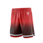 BB2007-Basketball-Shorts-Flight-2