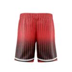 BB2007-Basketball-Shorts-Jordan-Flight-3