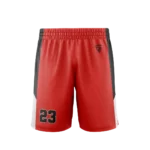 BB2007-Basketball-Shorts-backboard-1